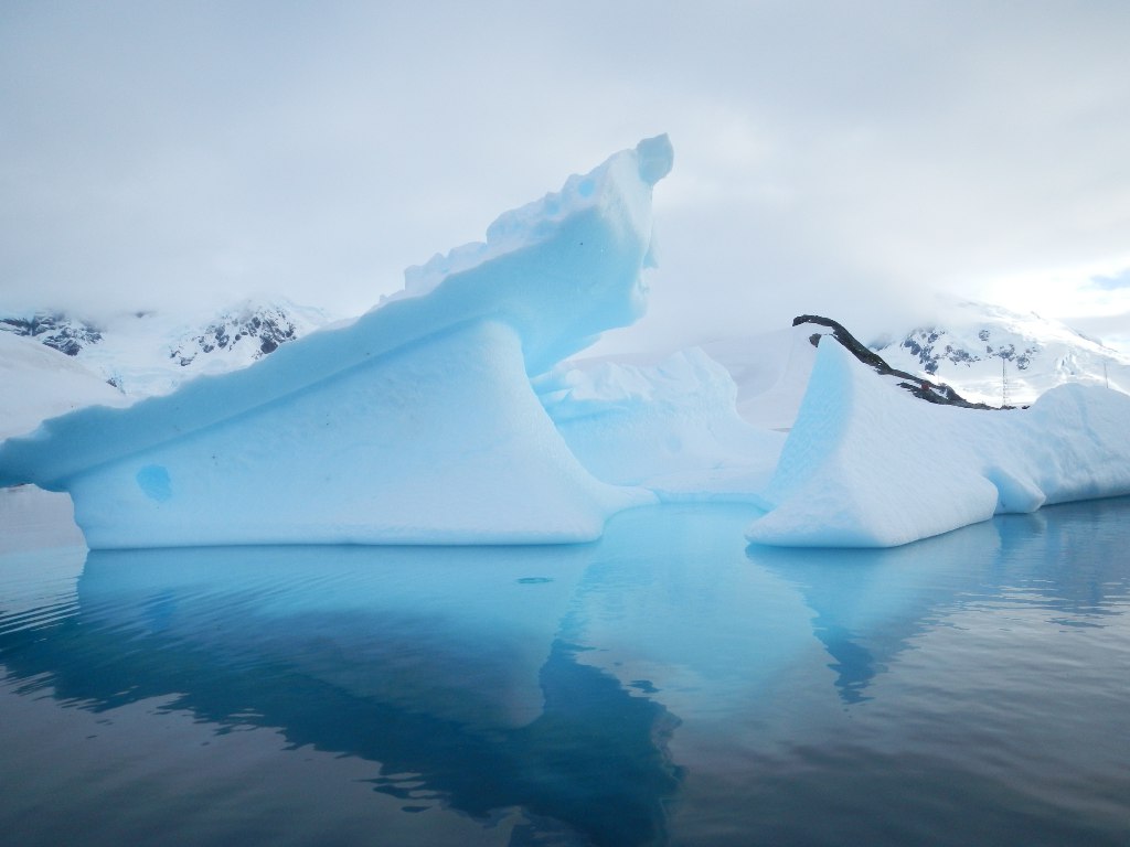Antarctique - Icebergs