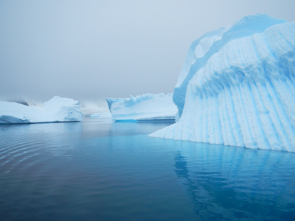 Antarctique - Murs de glace
